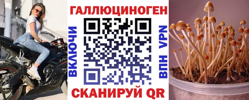 Псилоцибиновые грибы GOLDEN TEACHER  KRAKEN ссылки  Апшеронск 
